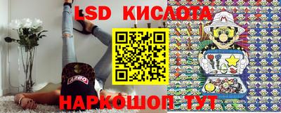 СК Ярославль