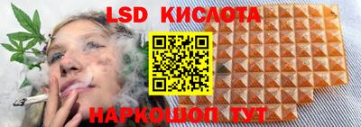 прущие грибы Ярцево