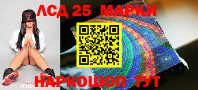 СК Ярославль