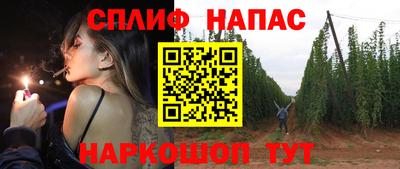 СК Ярославль