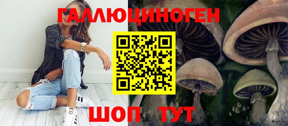 Псилоцибиновые грибы Psilocybe Алексеевка